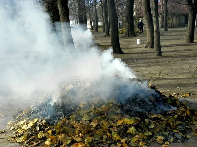 Припиніть палити суху траву та листя! (фото)