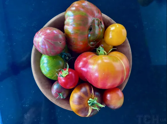 Їжа, яка знижує холестерин: 32 найкращі продукти