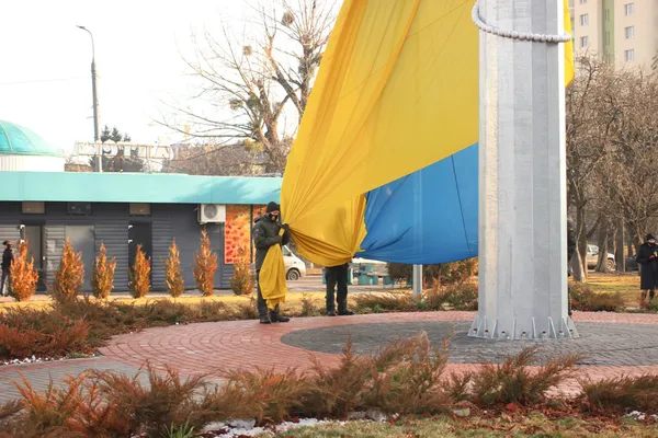 Прапори та сотні людей: як у Луцьку святкували День єднання (фото, відео)