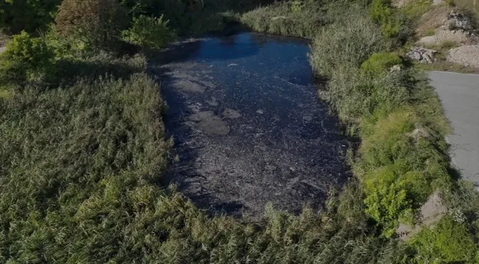 Сіра вода, піна та запах каналізації: на Волині екологи перевіряють водойму (фото)