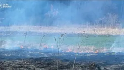 У Луцькому районі горіла суха трава – винуватця оштрафували (фото)