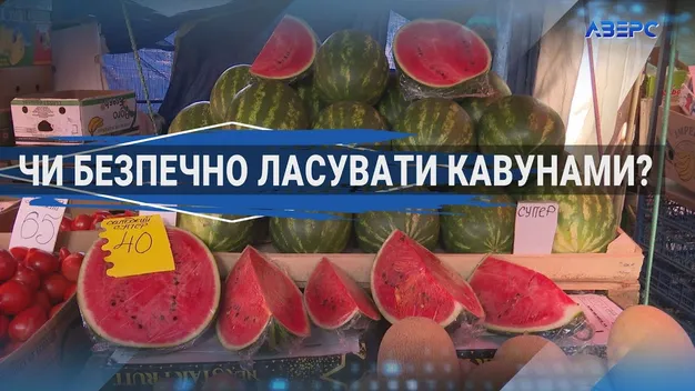 Чи безпечно їсти кавуни з луцьких ринків (відео)