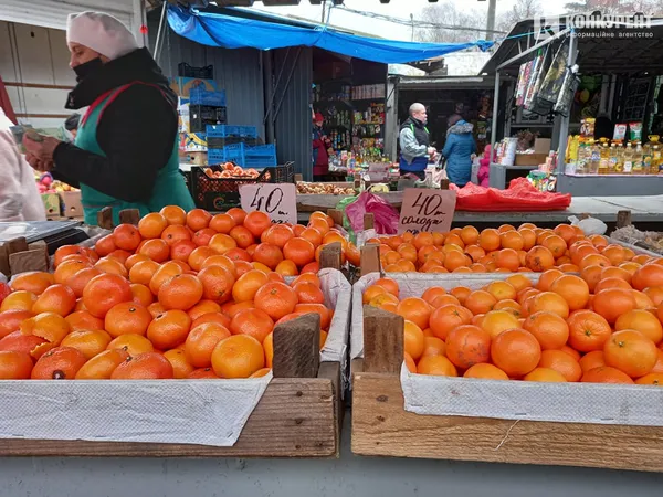 За скільки можна купити мандарини у Луцьку (фото)