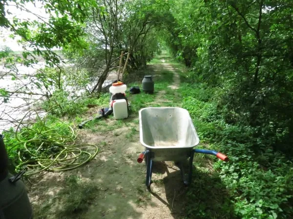 На Гнідавському цукровому заводі борються зі смородом (фото, відео)