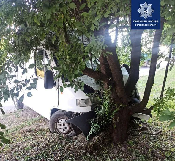 У Луцьку бус протаранив дерево (фото, відео)