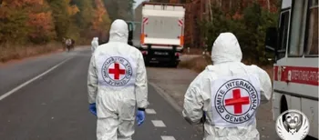 В Україну повернули тіла 252 полеглих захисників