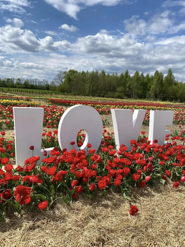 Гоу по світлини: у «Волинській Голландії» облаштували крутезні фотозони (фото)