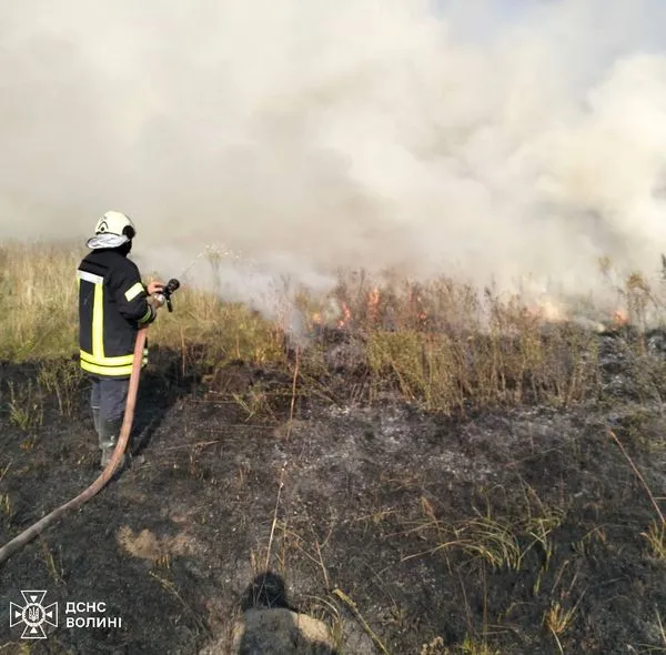 Горіли суха трава і торф: на Волині упродовж 13 годин гасили пожежу (фото)