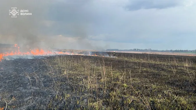 Понад 5 гектарів у вогні: на Волині ліквідували серію пожеж (фото)