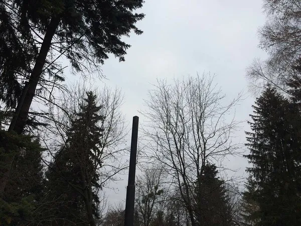 У луцькому парку вандали потопили смітники (фото)