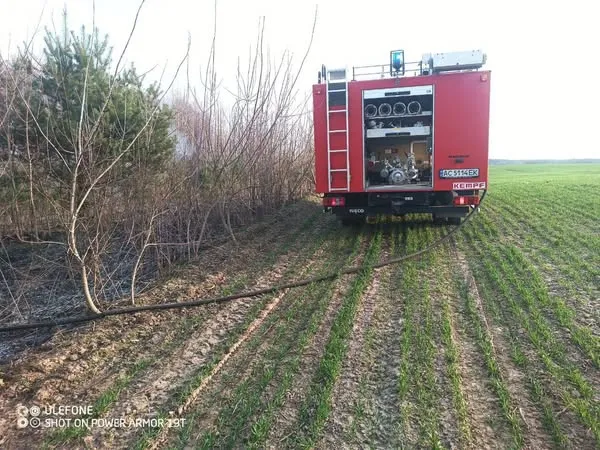 Вигоріло близько 10 гектарів: у Луцькому районі зайнялася пожежа поблизу болота (фото)