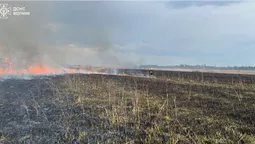 Понад 5 гектарів у вогні: на Волині ліквідували серію пожеж (фото)