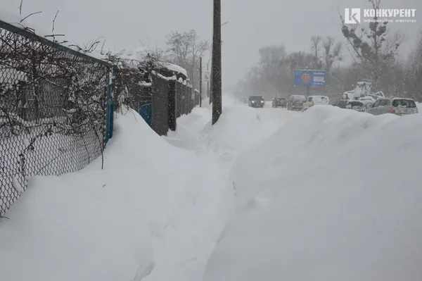 Луцькі гори: як виглядає місце останнього спочинку міського снігу (фото)