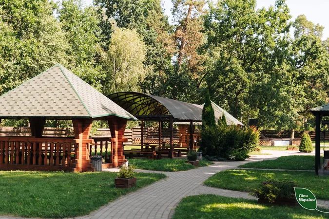 Ківерцівське лісництво назвали кращим в Україні