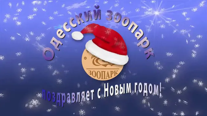 Директор Одеського зоопарку зняв новорічне привітання в костюмі свині (відео)
