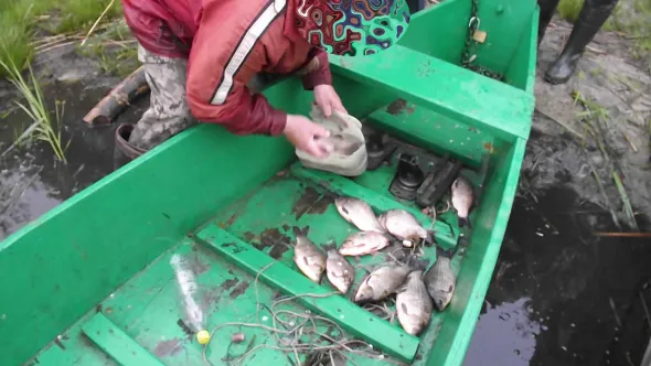 Рибалив у заказнику сітками: на Волині відловлюють браконьєрів (фото)