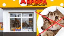 Лучани влаштували бойкот «Аврорі» через заборону годувати котів біля магазину (фото)
