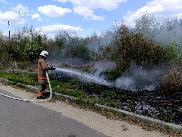 Вогняний понеділок на Волині: рятувальники ліквідували чотири пожежі в екосистемах (фото)