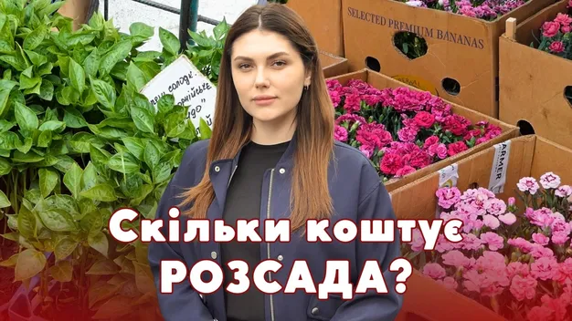 На ринку у Луцьку – ажіотаж на розсаду та квіти: які ціни (відео)