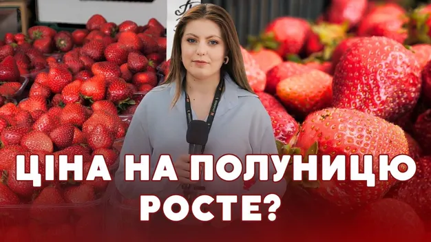 Сезон стартував: скільки коштує полуниця на луцькому ринку та чи чекати здешевлення (відео)