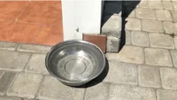 Уже третя: біля Луцького ЦНАПу крадуть миски з водою для тварин