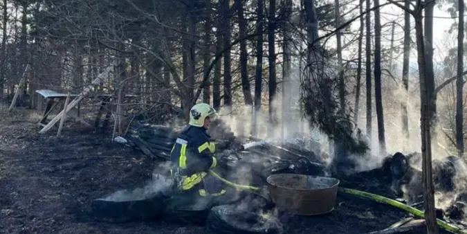 У Володимирі невідомі підпалили сосни біля житлового будинку (фото)
