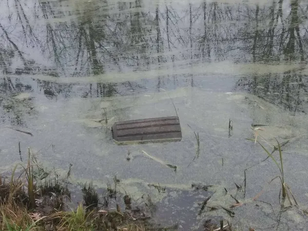 У луцькому парку вандали потопили смітники (фото)