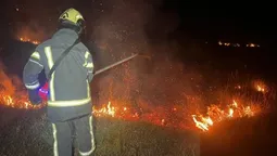 Вогонь охопив 6 гектарів: на Волині за дві доби сталися 8 пожеж (фото)
