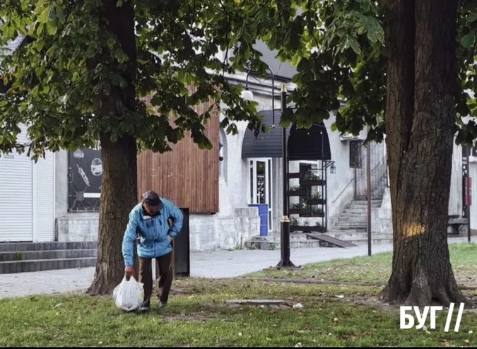 У Нововолинську містяни збирають каштани, які можна здати на переробку (фото)