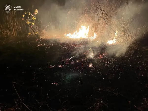 На Волині через людську недбалість вигоріли понад 5 гектарів поля (фото)