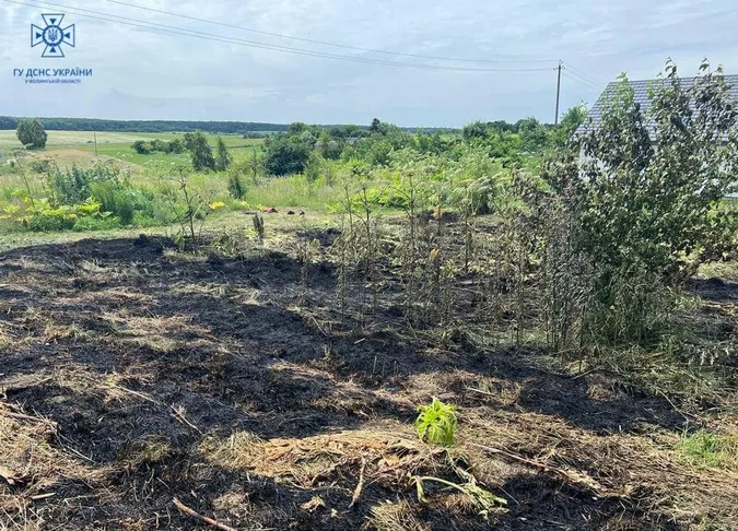 У Боголюбах пенсіонер випадково підпалив сусідський город (фото)