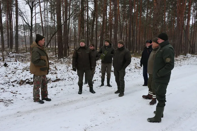 На Волині порахували зубрів і зубренят (фото)