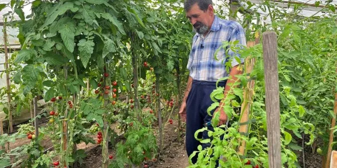 У Луцьку чоловік вирощує «Гномів» та «Дюшеси» (фото)