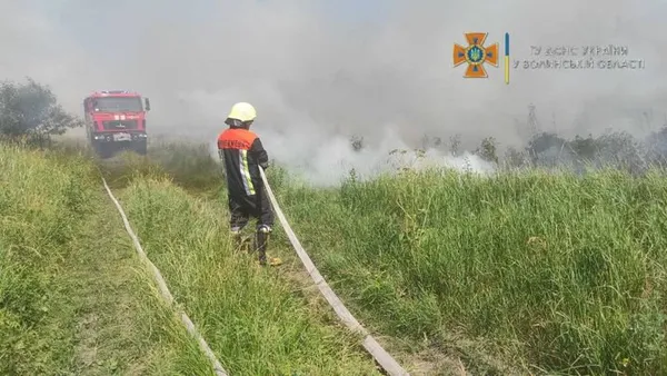 У Луцькому районі горіла суха трава і ледь не загорілося поле зернових (фото)