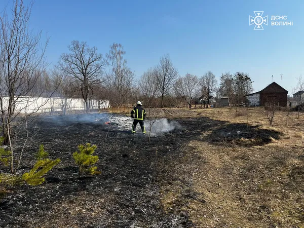 🔥На Волині суха трава палала в чотирьох районах (фото)