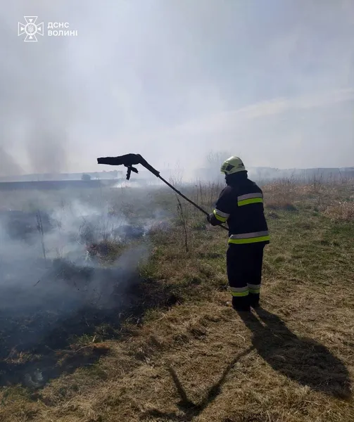 Вогонь сунув на ліс та будинки: у Луцькому районі горіли 3 гектари чагарників (фото)