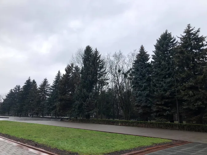 На меморіалі в Луцьку зрізали всохлі ялинки (фотофакт)