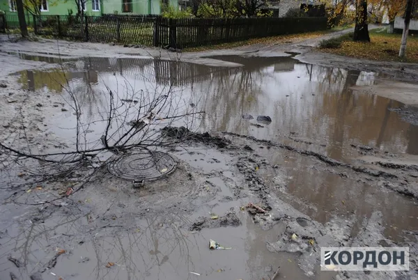 Мешканці Любомля обходять багнюку по парканах (фото)