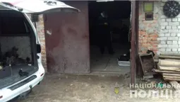 У Ковелі "на гарячому" затримали серійних злодіїв (фото)
