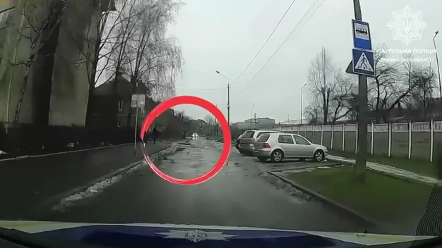 У Луцьку п'яний водій хотів пішки втекти від копів (відео)