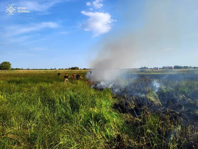 На Волині за добу сталося вісім масштабних пожеж на полях (фото)