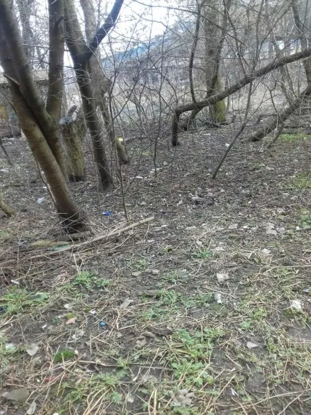 Лучани просять зробити четвертий сквер у місті (фото)
