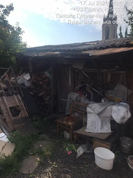 Сарай, де тримають кіз у старій частині Луцька, демонтують: готують рішення (фото)