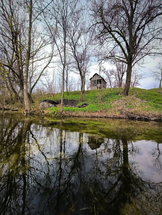 Глибшим є лише Світязь: показали «заквітчане» волинське озеро (фото)