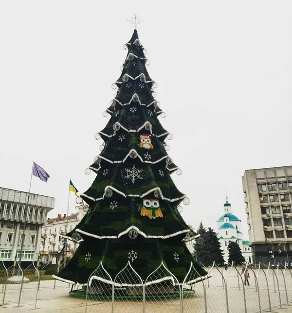 Сумська ялинка цього року вперше штучна