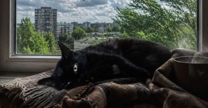 Дощі, грози та туман: якою буде погода на Волині 24 липня