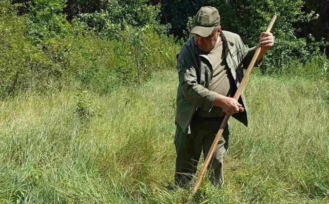 🦌 Готують саночки влітку: на Любешівщині заготовляють корми для диких тварин
