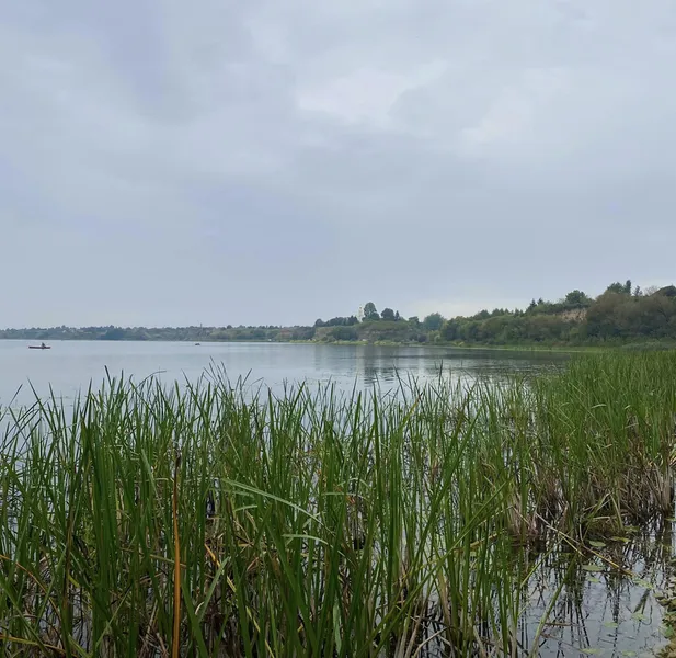 Атмосферні фото: показали осінні краєвиди Хрінників