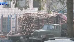 На Волині пенсіонерка купила дрова та втрапила в кримінал: деревину вилучили (відео)