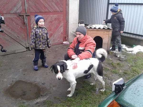 Показали нову сім'ю луцького собаки Біма (фото)